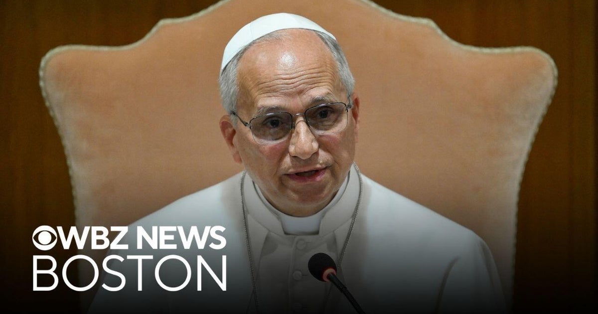 Pope Leo delivers urgent message on AI