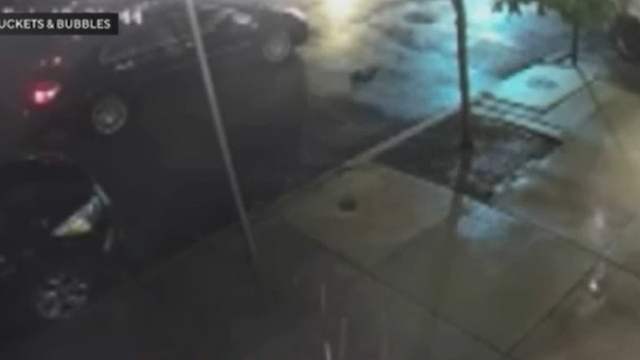 bubbles.png 