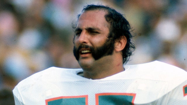 Miami Dolphins 