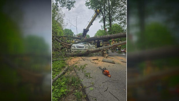 Northwest Indiana woman recovering from spinal injuries after massive tree crushes her car