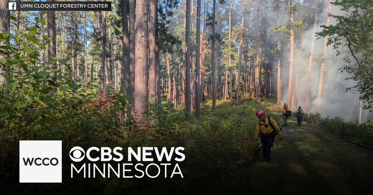 University of Minnesota returning tribal land to Fond du Lac - CBS ...