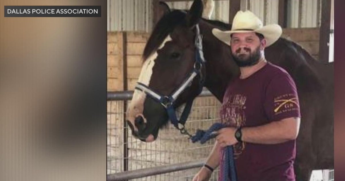 Dallas police sergeant injured in Forney plane crash has died - CBS Texas