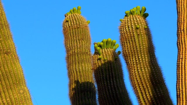00-placeholder-thumb.jpg 