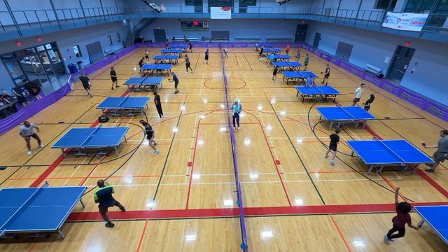 ping-pong-1.png 