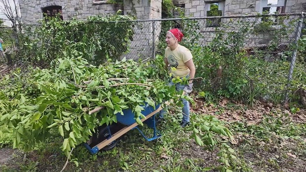 A volunteer moves a wheelbarrow full of branches near the church