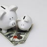 Big and Little Piggy Banks American Currency 