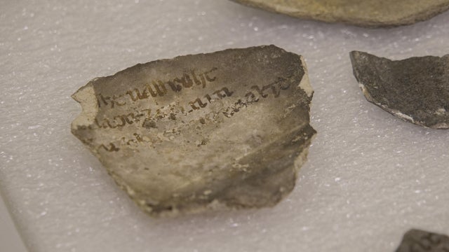France Notre Dame Underground Treasures 