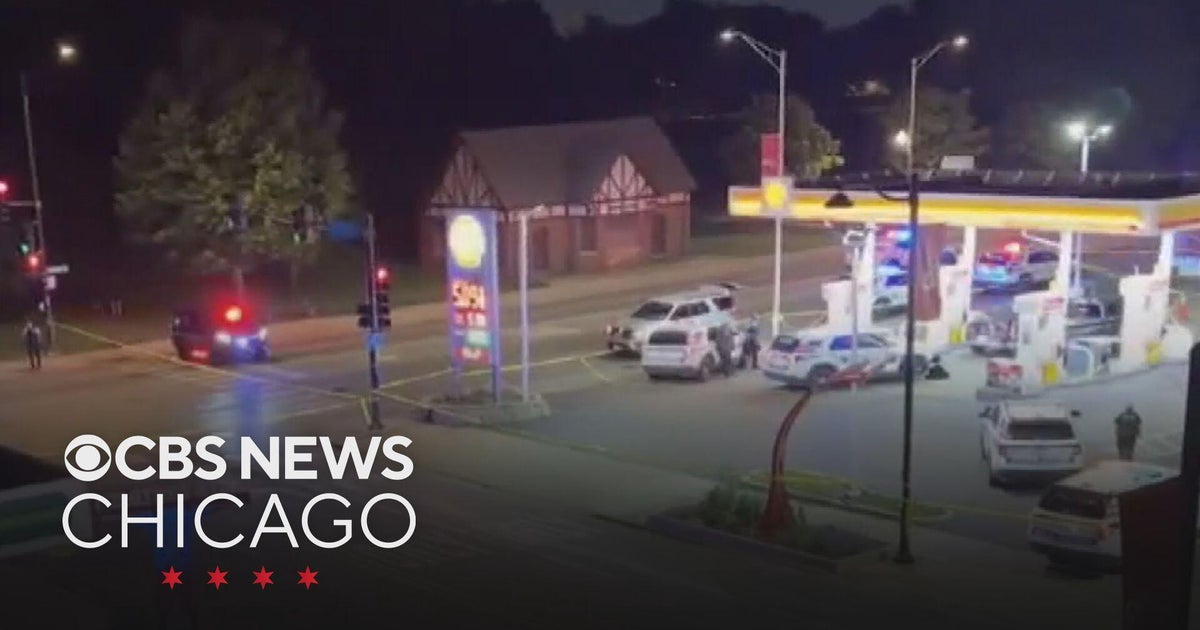 Driver killed in Oak Park police shooting after struggle with gun ...