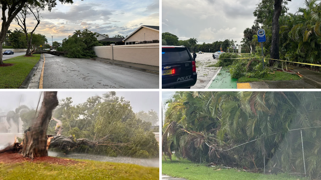 Damage on Miami-Dade roads as a severe thunderstorm moved through South Florida Tuesday evening