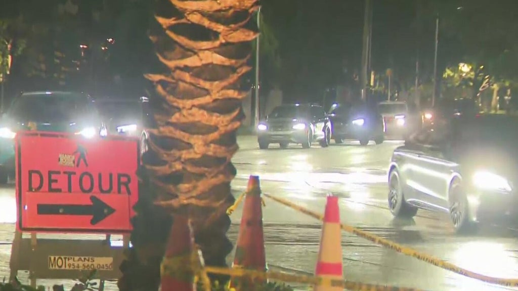 Video shows car slamming into tree near Brickell condo, sparking safety concerns