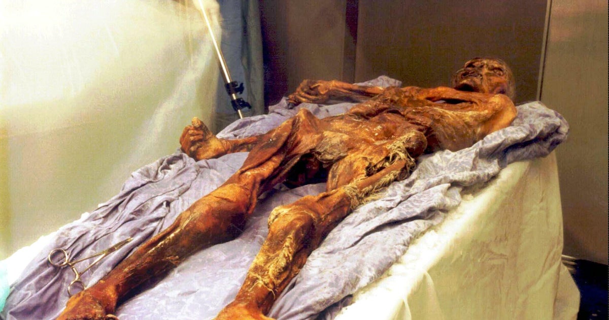 Scientists find yeast in frozen mummy’s guts, use it to make bread