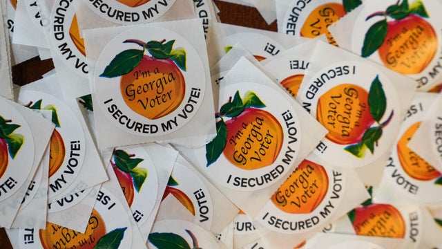 Georgia Elections Investigation 