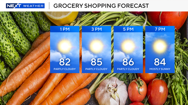 grocery-shopping.png 