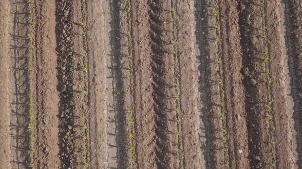 ground3.jpg 