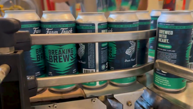 A handful of the Breaking Brews cans with their blue and green labels 