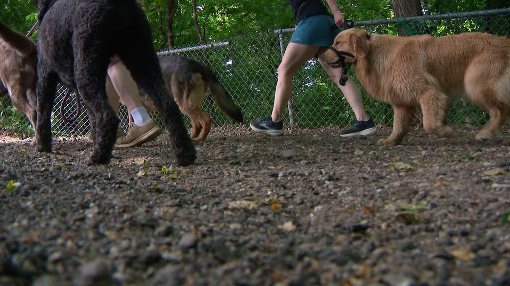 Minneapolis mulls closing Minnehaha Off-Leash Dog Park after discovering it sits on sacred tribal land