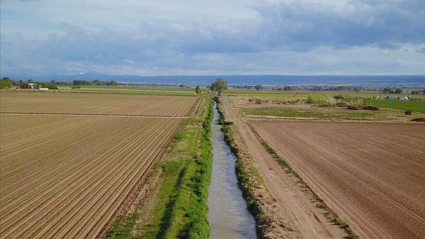 ditch.jpg 