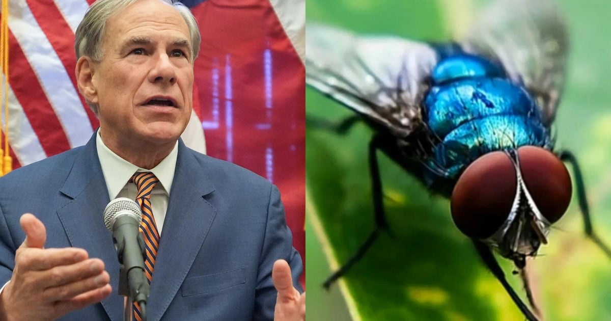 Flesh-eating New World screwworm fly is not a food safety or virus issue, Texas officials say