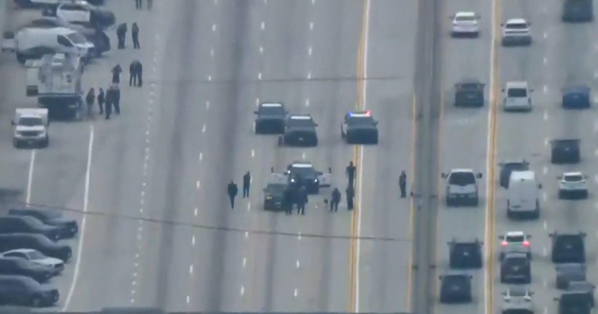 Los Angeles police chase ends in fatal shooting of suspect on 405 Freeway