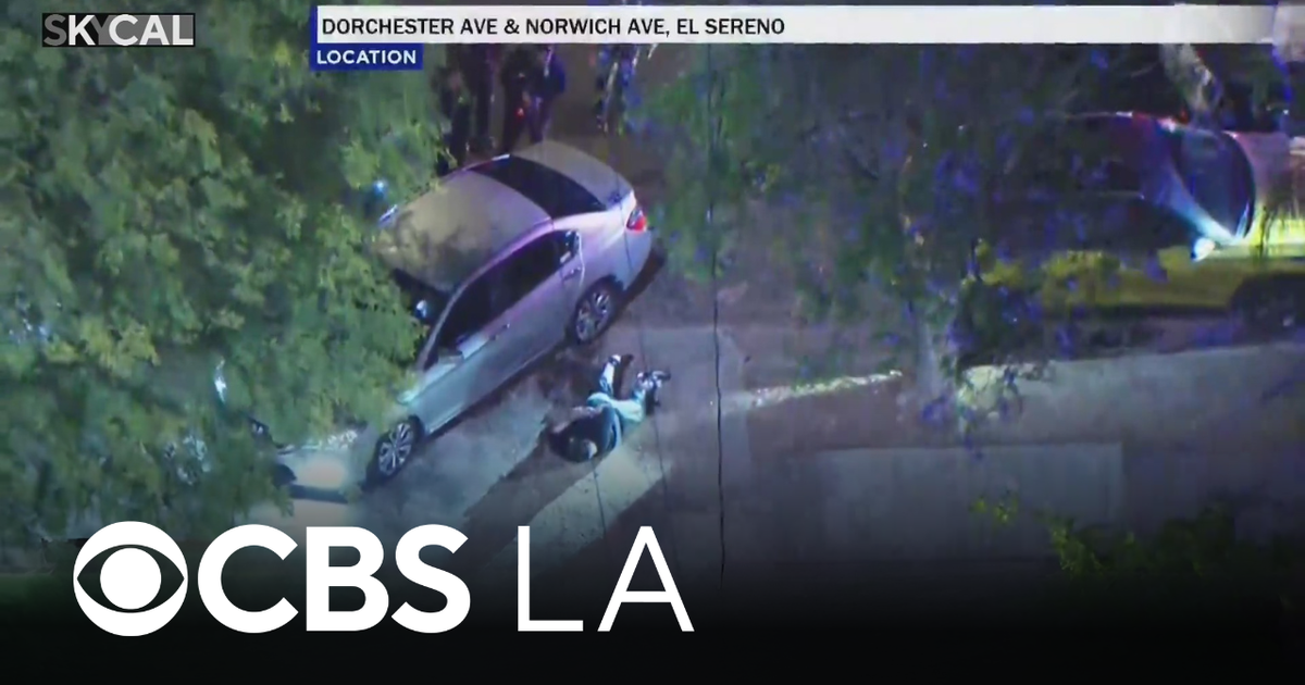 Allegedly armed suspect surrenders to LAPD officers after pursuit in El ...