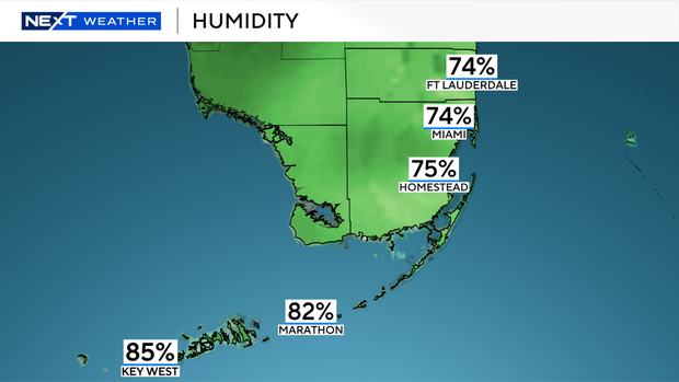 humid-miami.png