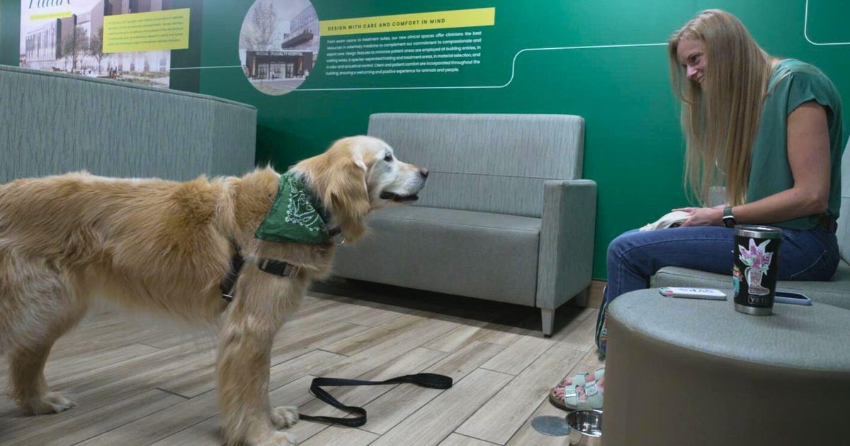 Studying dogs may reveal path to longer, healthier life for dogs, humans | 60 Minutes
