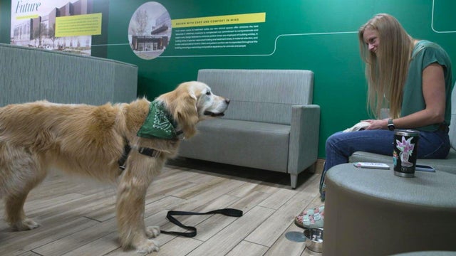 Dog Aging Project 