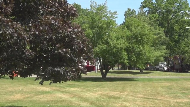 Kiwanis Club of Brighton summer concert series is back on 