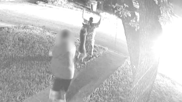 Exclusive: Female bystander alleges attack in her yard by Fort Worth police dog