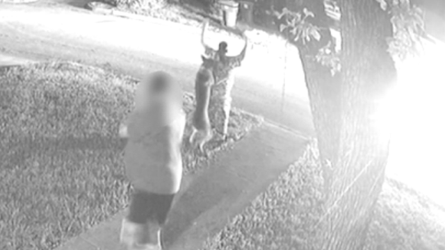 alleged attack, Fort Worth Police dog 