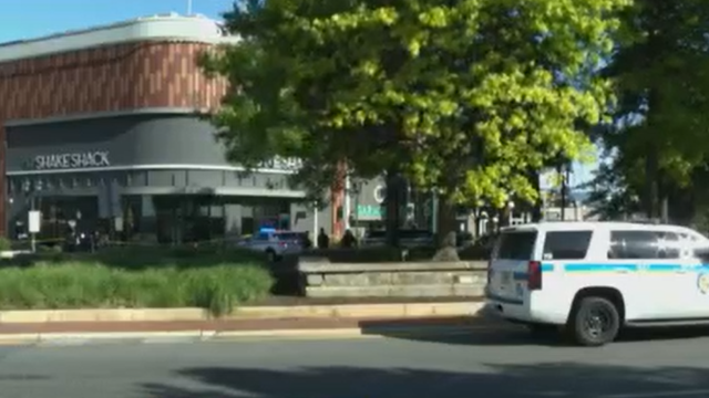 towson.png 