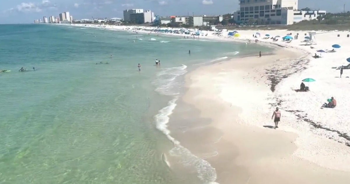 Navy employee attacked by shark off Florida coast