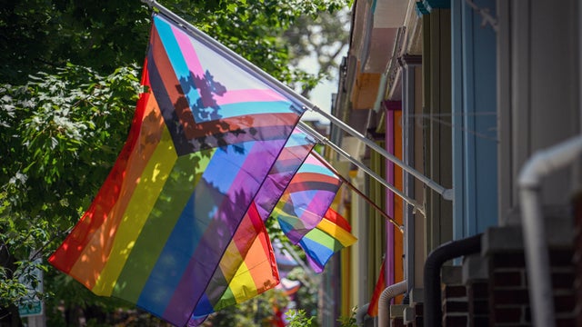 Baltimore Pride Flags 