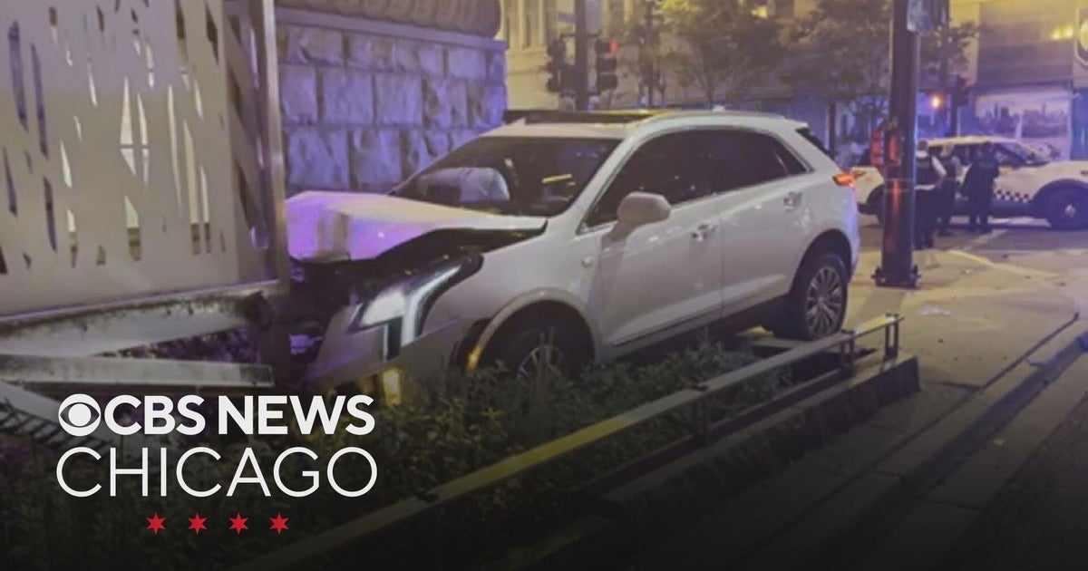 CTA K-9 security unit involved in crash in downtown Chicago - CBS Chicago