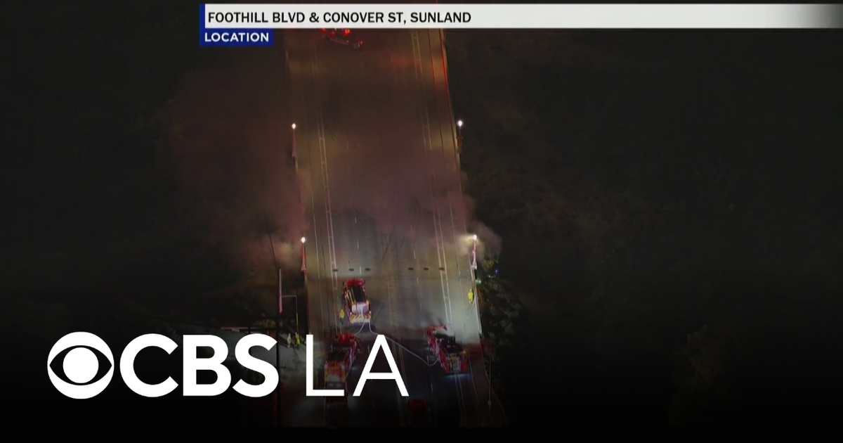 Los Angeles firefighters extinguish blaze under 210 Freeway