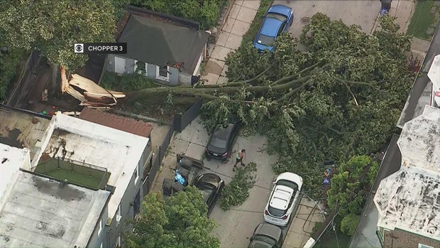 philadelphia-storm-damage-mount-airy.jpg