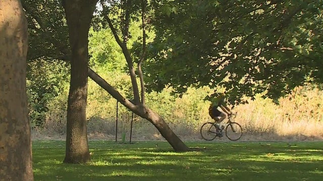 american-river-parkway-bike-rider.jpg 