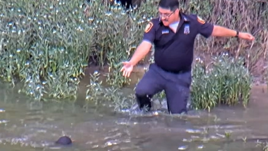 fortworthpolicedepartment.png 