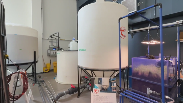 colorado-rainwater-pilot-program-3.png 