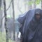 N.J. students' rite of passage via the Appalachian Trail