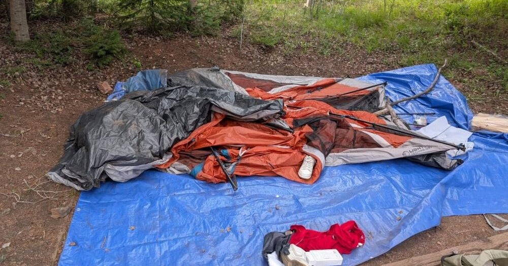 Colorado bear activity forces camping restrictions at Gore Creek Campground near Vail