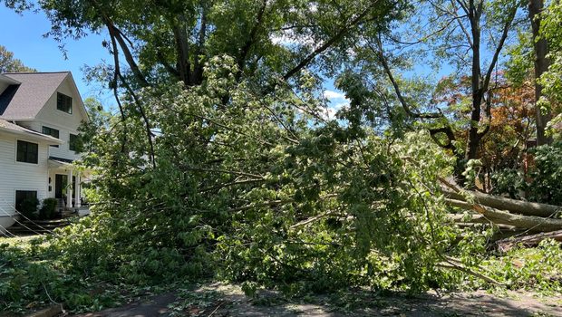 Annapolis residents face cleanup, extended power outages following severe storm