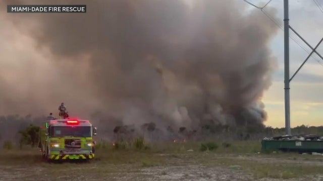 1700-peter-brush-fire-pkg-4-15-24-16-12-0017.jpg 