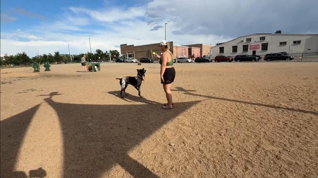 dog-park.jpg 