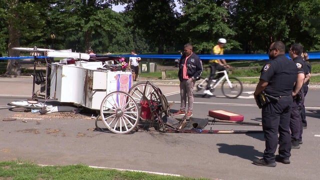 bauman-central-park-horse-carriage-overturned-ab-hi-res-still.jpg 