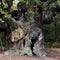 1,200-year-old Robin Hood oak tree in Sherwood Forest has died, group says