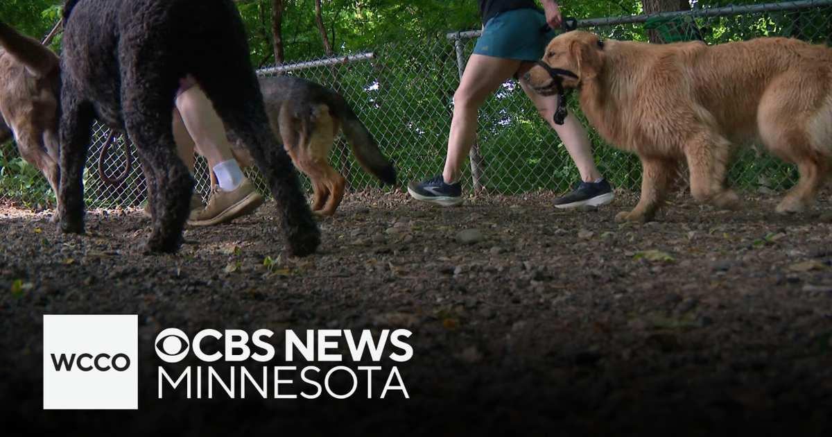 Minneapolis park board votes to close off-leash dog park sitting on sacred Indigenous land, and more headlines