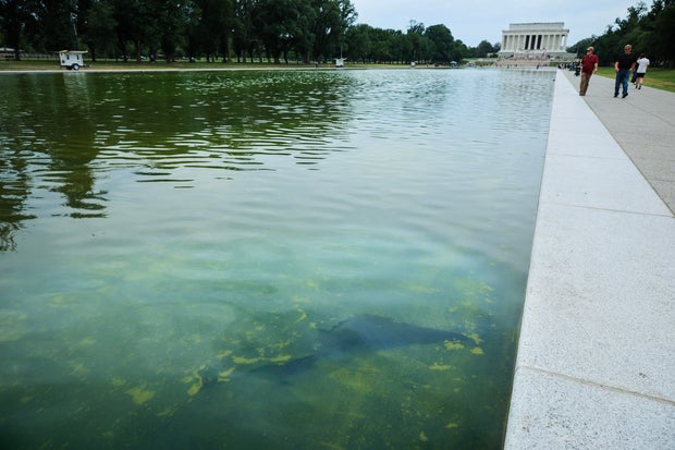 Blue Paint Begins To Peel Off Lincoln Memorial Reflecting Pool 