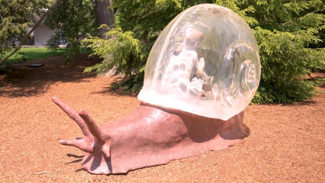 decordova-1.jpg 