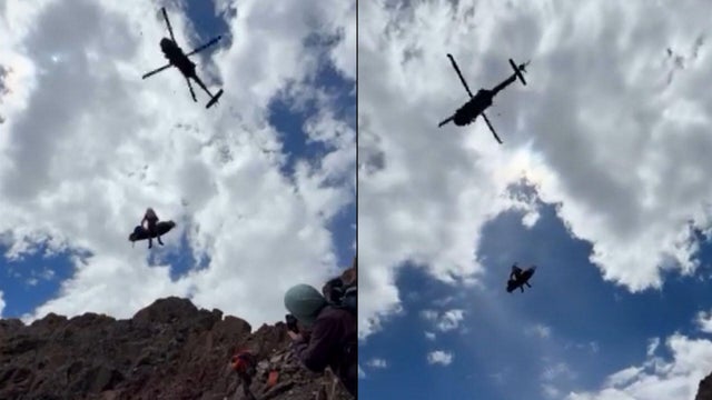 rescue2.jpg 